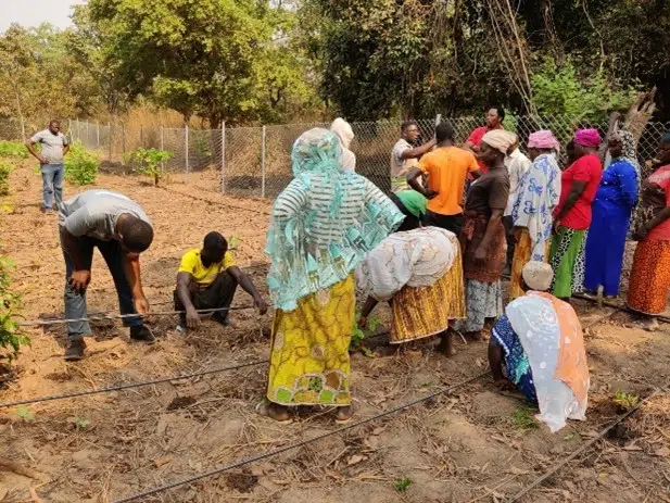 Agriculture Training